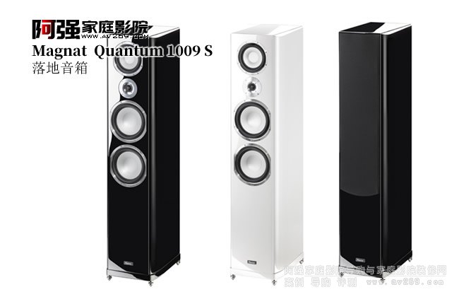  Quantum 1009S