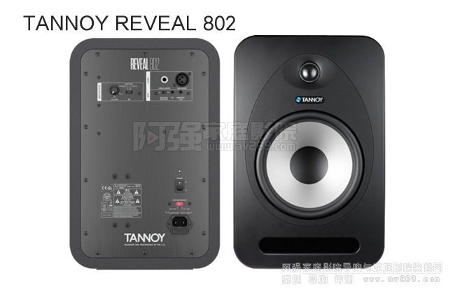  TANNOY REVEAL 802 ԴO B