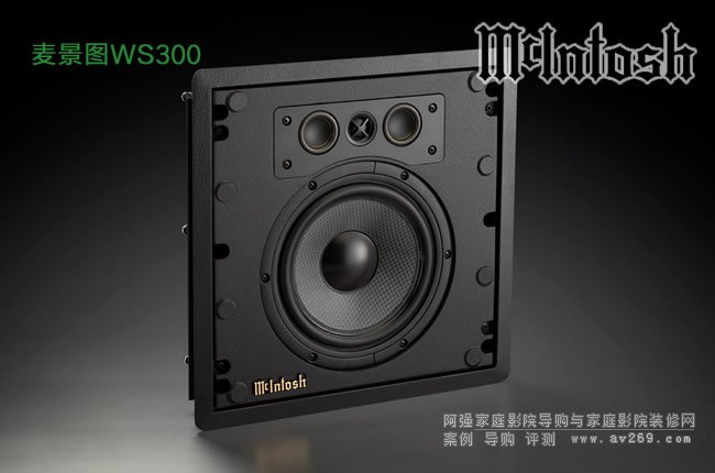 DMcIntosh WS300 뉦ʽ